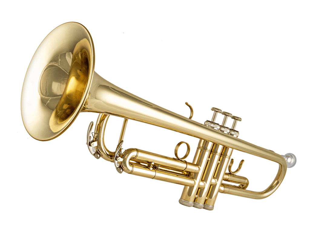 trumpet