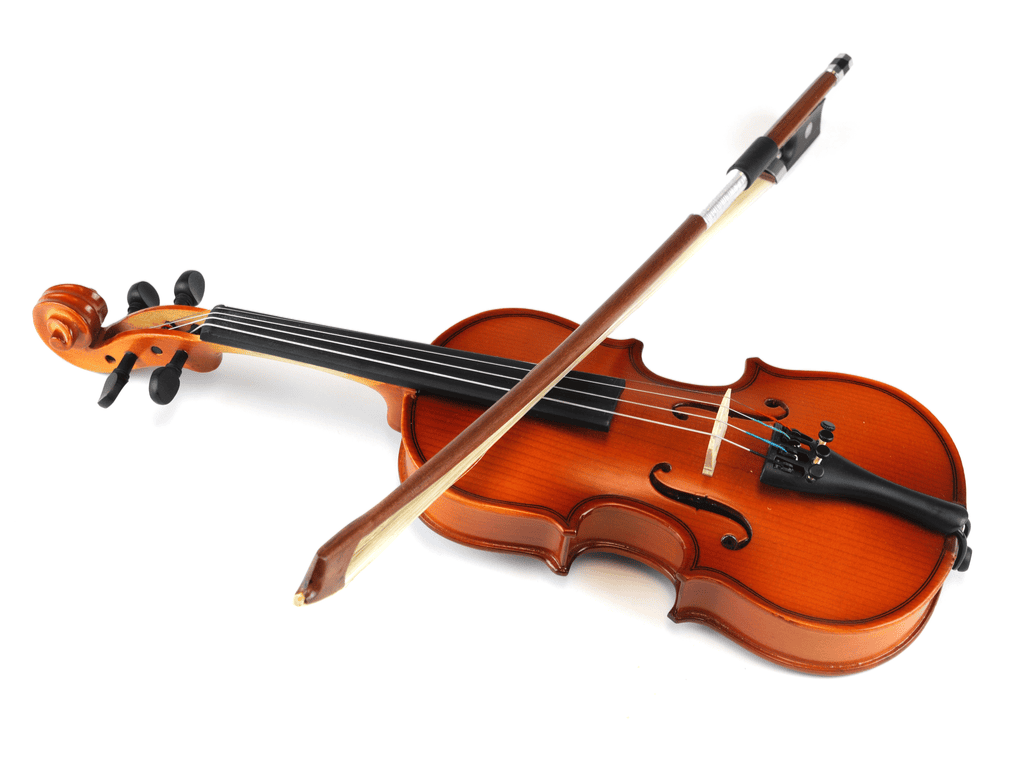 violin